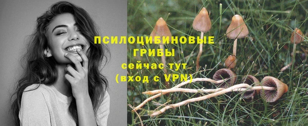 стаф Алексеевка