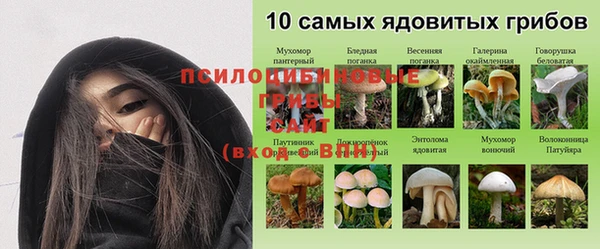 стаф Алексеевка