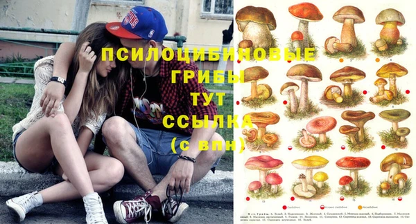 стаф Алексеевка